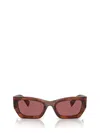 Miu Miu Mu 09ws Striped Tobacco Sunglasses In Brown/pink Solid
