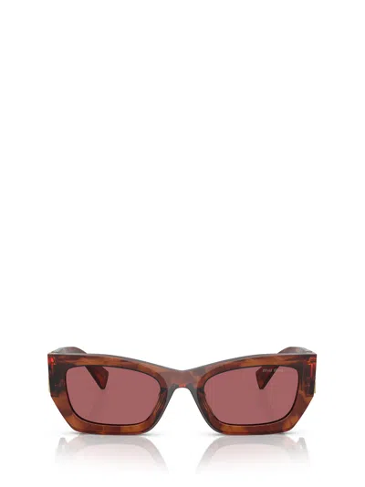 Miu Miu Mu 09ws Striped Tobacco Sunglasses In Brown/pink Solid