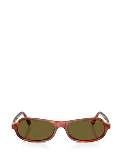 Miu Miu Womens Brown Mu B10su Irregular-frame Acetate Sunglasses