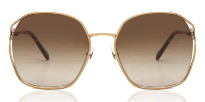 Miu Miu Mu52ws 7oe6s1 Women's Sunglasses Brown Size 60