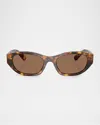 Miu Miu Mua03sf Acetate Oval Sunglasses In Brown