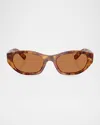 Miu Miu Womens Brown Mu A03s Oval-frame Acetate Sunglasses In Lite Havana