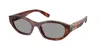 Miu Miu Women's Angular Sunglasses In Brown
