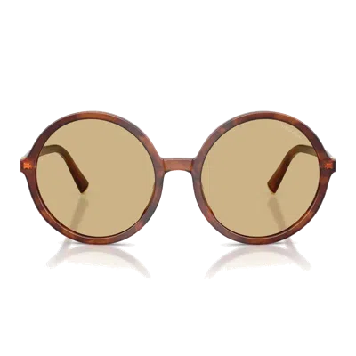 Miu Miu Mub02 S Sunglasses In Brown
