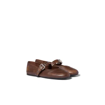 Miu Miu Nappa Leather Ballerinas In Brown