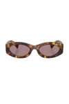 Miu Miu Logo Oval Acetate Sunglasses In Havana Honey