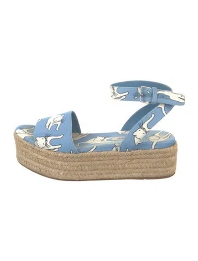 Pre-owned Miu Miu Patterned Espadrilles In Blue
