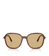 Miu Miu Womens Brown Mu B01s Square-frame Acetate Sunglasses In Brown