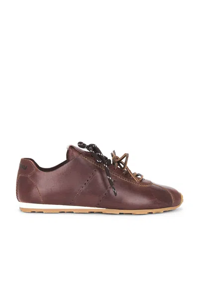Miu Miu Plume Vitello Old Sneaker In Brown