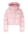 Miu Miu Polka-dot Cropped Puffer Jacket In Pink