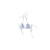 Miu Miu Poplin Bikini Top In Multi