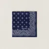 Miu Miu Printed Poplin Scarf In Navy