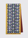 Miu Miu Printed Silk Foulard In Blue