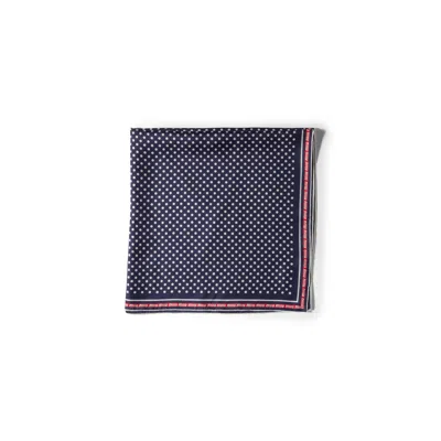 Miu Miu Printed Silk Scarf In Blue