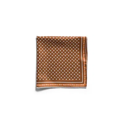 Miu Miu Printed Twill Scarf In Brown