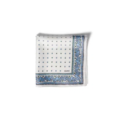 Miu Miu Printed Twill Scarf In Blue