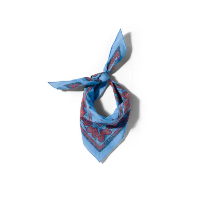 Miu Miu Printed Twill Scarf In Blue
