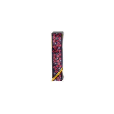 Miu Miu Printed Twill Scarf In Multi