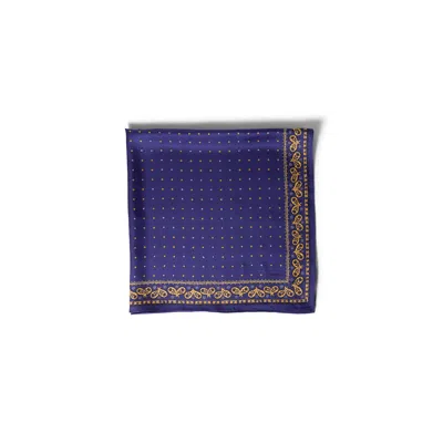 Miu Miu Printed Twill Scarf In Blue