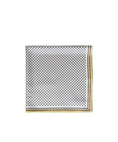 Miu Miu Printed Twill Scarf In Multi