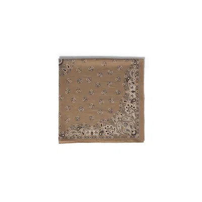 Miu Miu Printed Wool And Cashmere Scarf In Brown