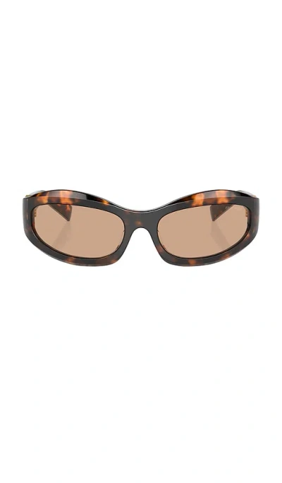 Miu Miu Rectangular Sunglasses In Honey Havana