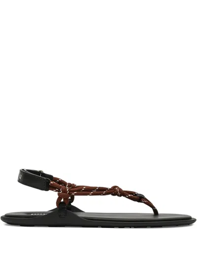 Miu Miu Tobacco-coloured Riviere Sandal In Rope And Leather In Black