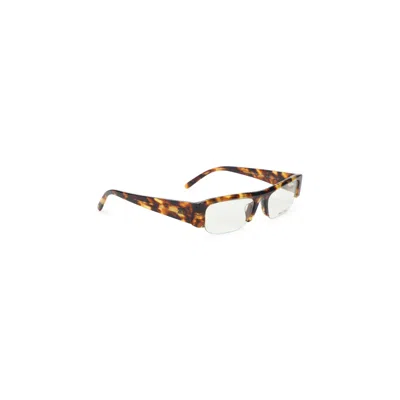 Miu Miu Root Tortoise Brown Acetate Transparent Sunglasses In Multi