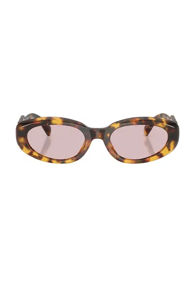 Miu Miu Round Sunglasses In Honey Havana