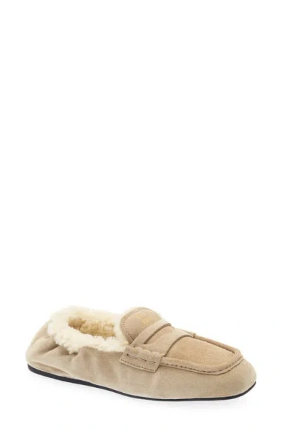 Miu Miu Ruches Genuine Shearling Lined Loafer In Brown
