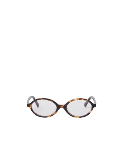Miu Miu Oval Sunglasses In Vau08n Honey Havana