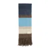Miu Miu Multicolor Striped Logo Scarf In Blue