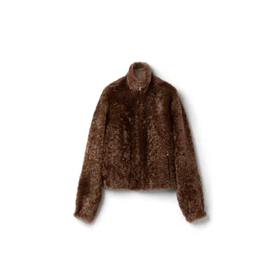 Miu Miu Shearling Blouson Jacket In Sienna