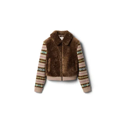Miu Miu Shearling Blouson Jacket In Brown
