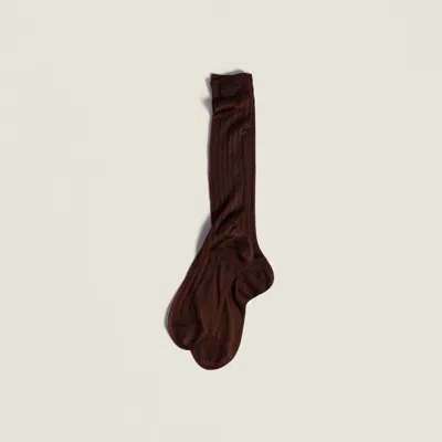 Miu Miu Silk Socks In Brown