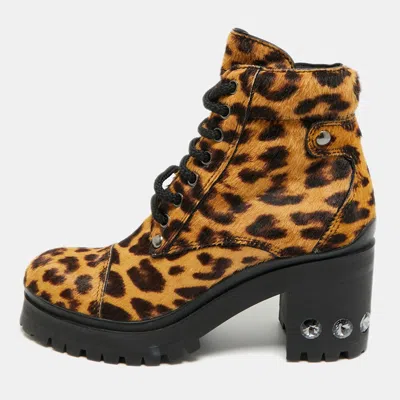 Pre-owned Miu Miu Size 36 Brown Leopard Print Calf Hair Combat Boots