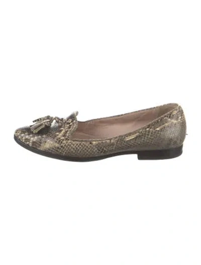 Pre-owned Miu Miu Snakeskin Animal Print Loafers In Green