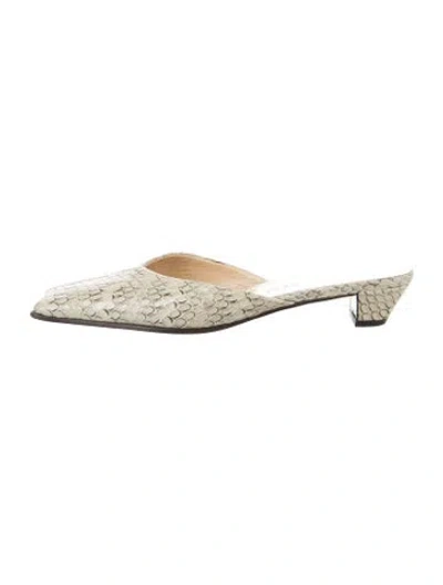 Pre-owned Miu Miu Snakeskin Animal Print Mules In Multi