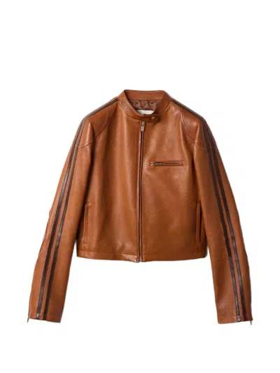 Miu Miu Stand-up Collar Stripe Jacket In Brown