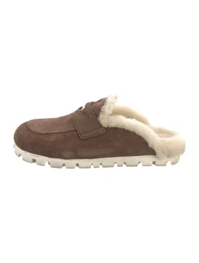 Pre-owned Miu Miu Suede Fur Trim Mules In Brown