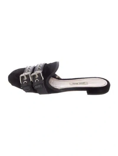 Pre-owned Miu Miu Suede Mules In Black