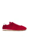 Miu Miu Suede Low Top Sneaker In Scarlet