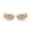 Miu Miu Logo Oval Acetate Sunglasses In Beige/marrone