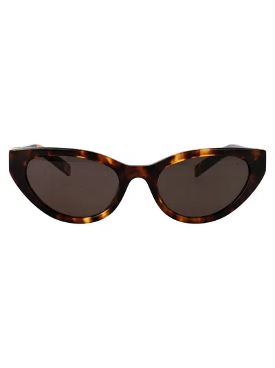 Miu Miu Sunglasses In Brown