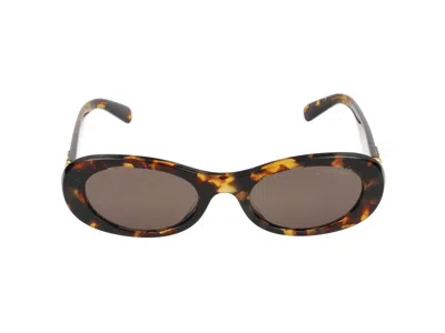 Miu Miu Havana Acetate Sunglasses In Brown