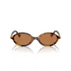 Miu Miu Round Acetate Sunglasses In Havana/marrone