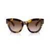 Miu Miu Sonnenbrille Mit Cat-eye-gestell In Havana/marrone