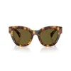 Miu Miu Mu 01ys 14l09z In Havana/marrone