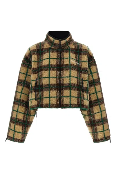Miu Miu Teddy Check Cropped Sweatshirt In Multi