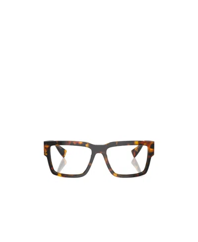Miu Miu Mu 02xv Honey Tortoise Glasses In Vau1o1